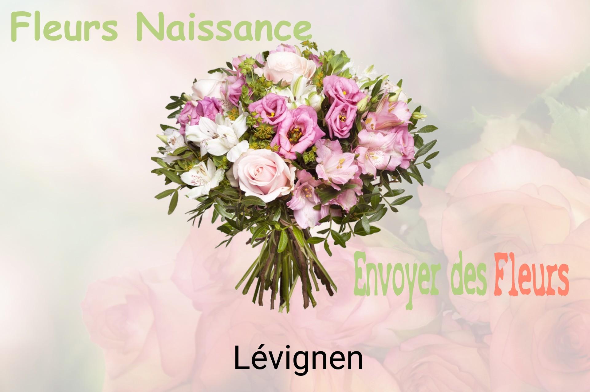 Bouquet de fleurs de naissance livré à Lévignen