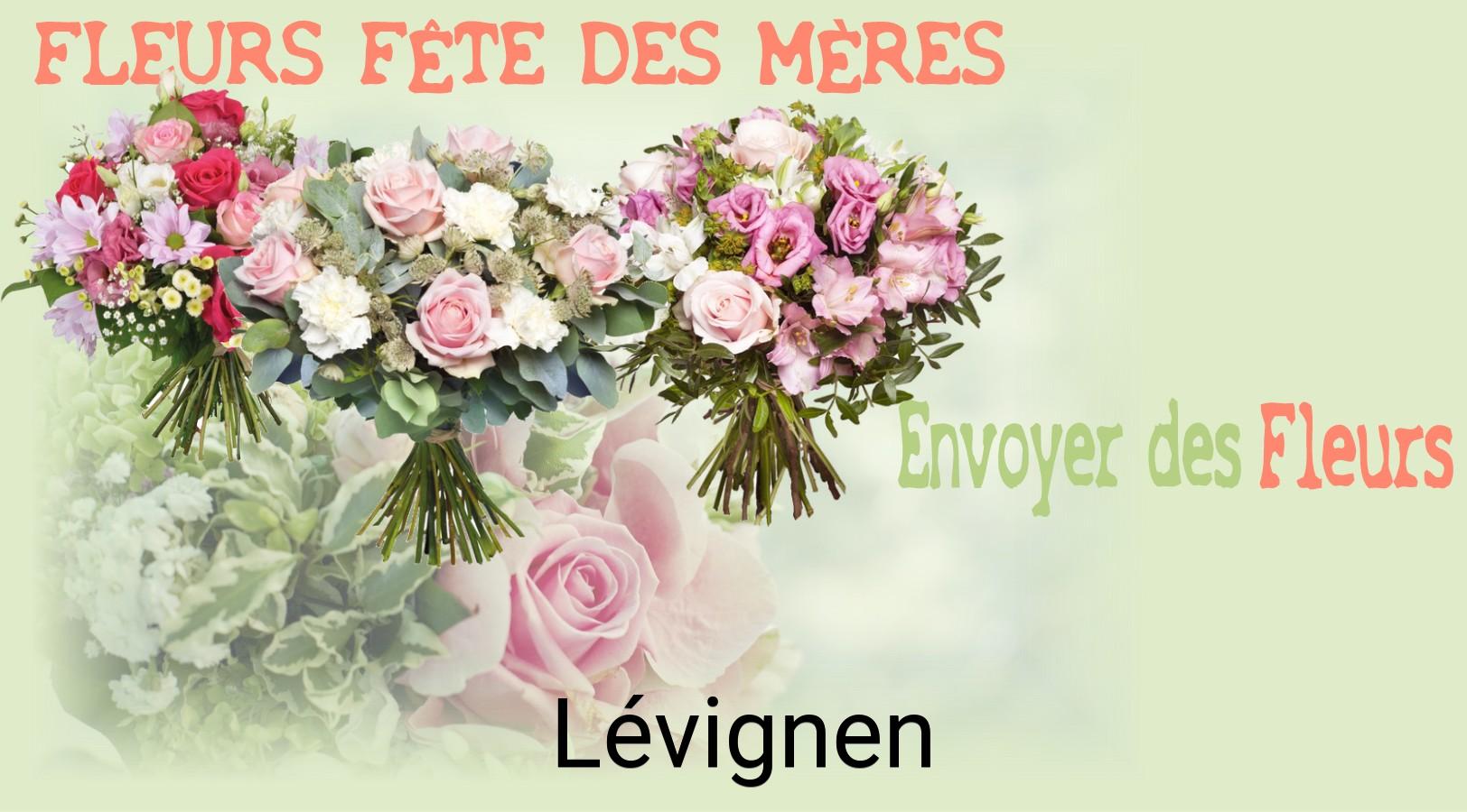 Bouquet de Fête des Mères livré à Lévignen